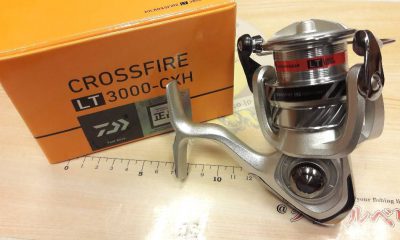 NEW REEL DAIWA CROSSFIRE LT3000-CXH, Reel